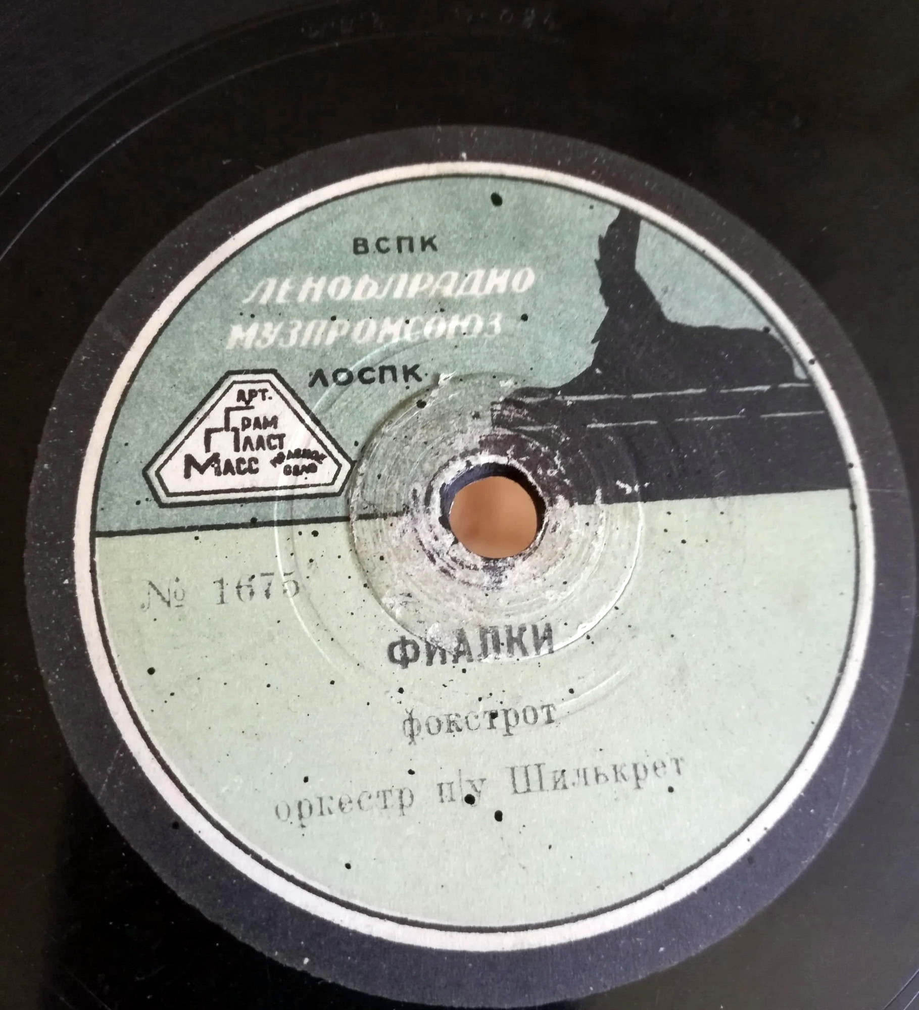 Фиалки // Твоя песня чарует