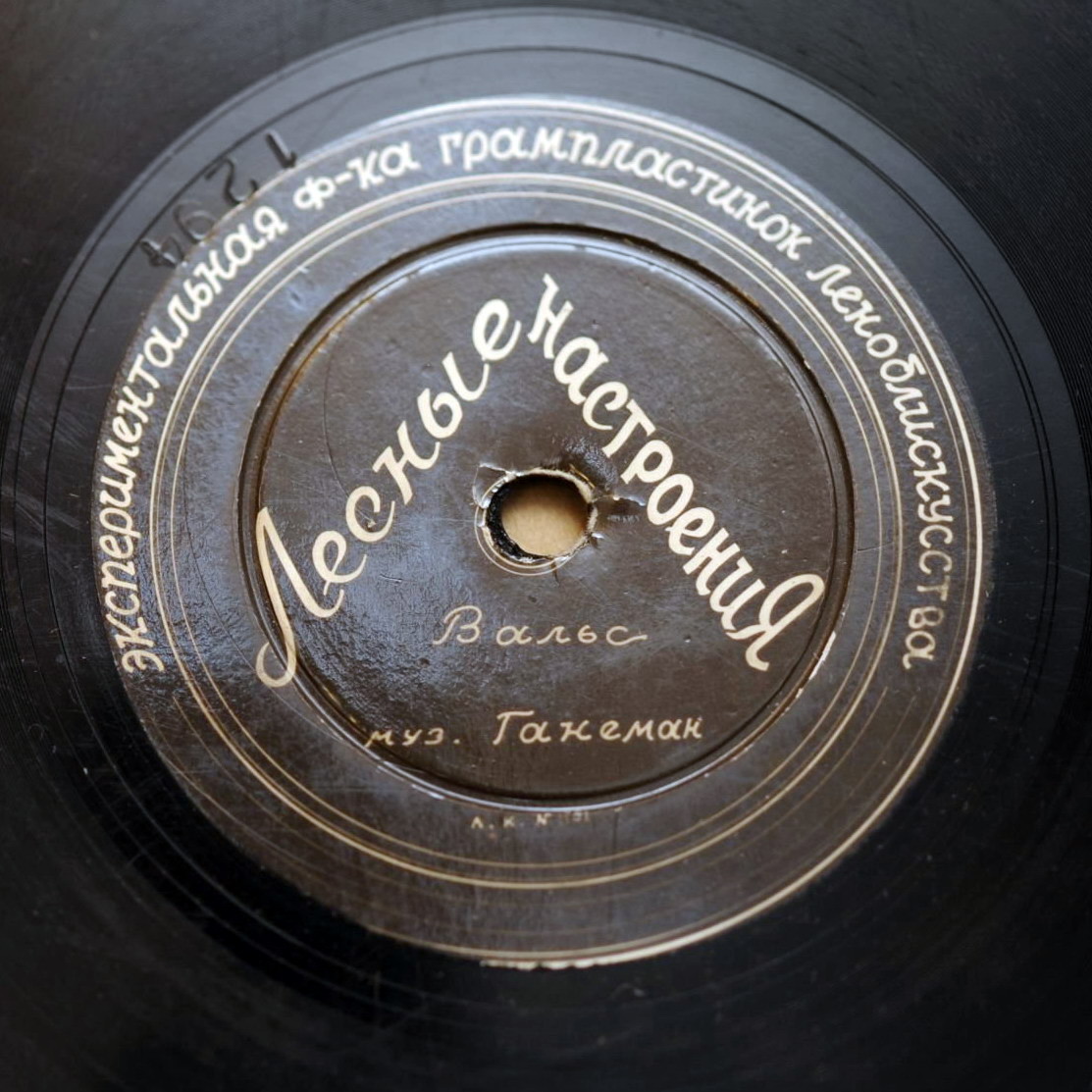 Робин Гарри // Лесные настроения