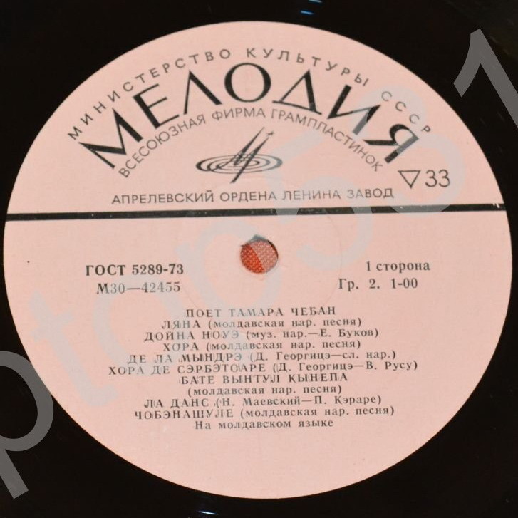 Поёт Тамара Чебан