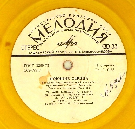 ВИА "ПОЮЩИЕ СЕРДЦА", солистка Антонина Жмакова