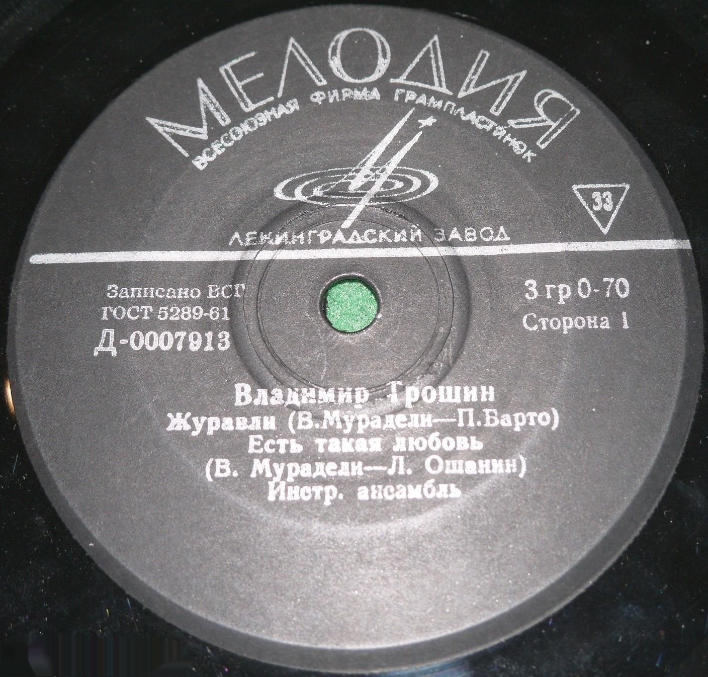 Поет Владимир Трошин