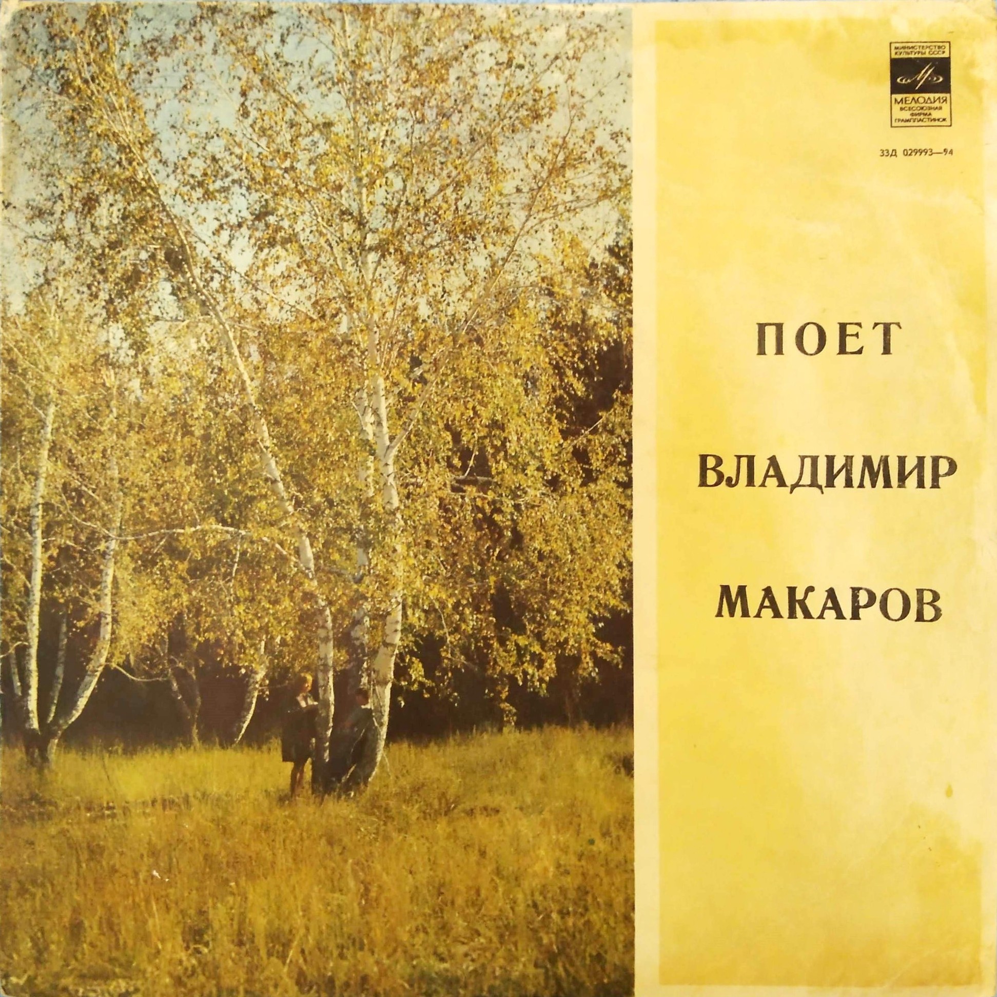 Владимир Макаров