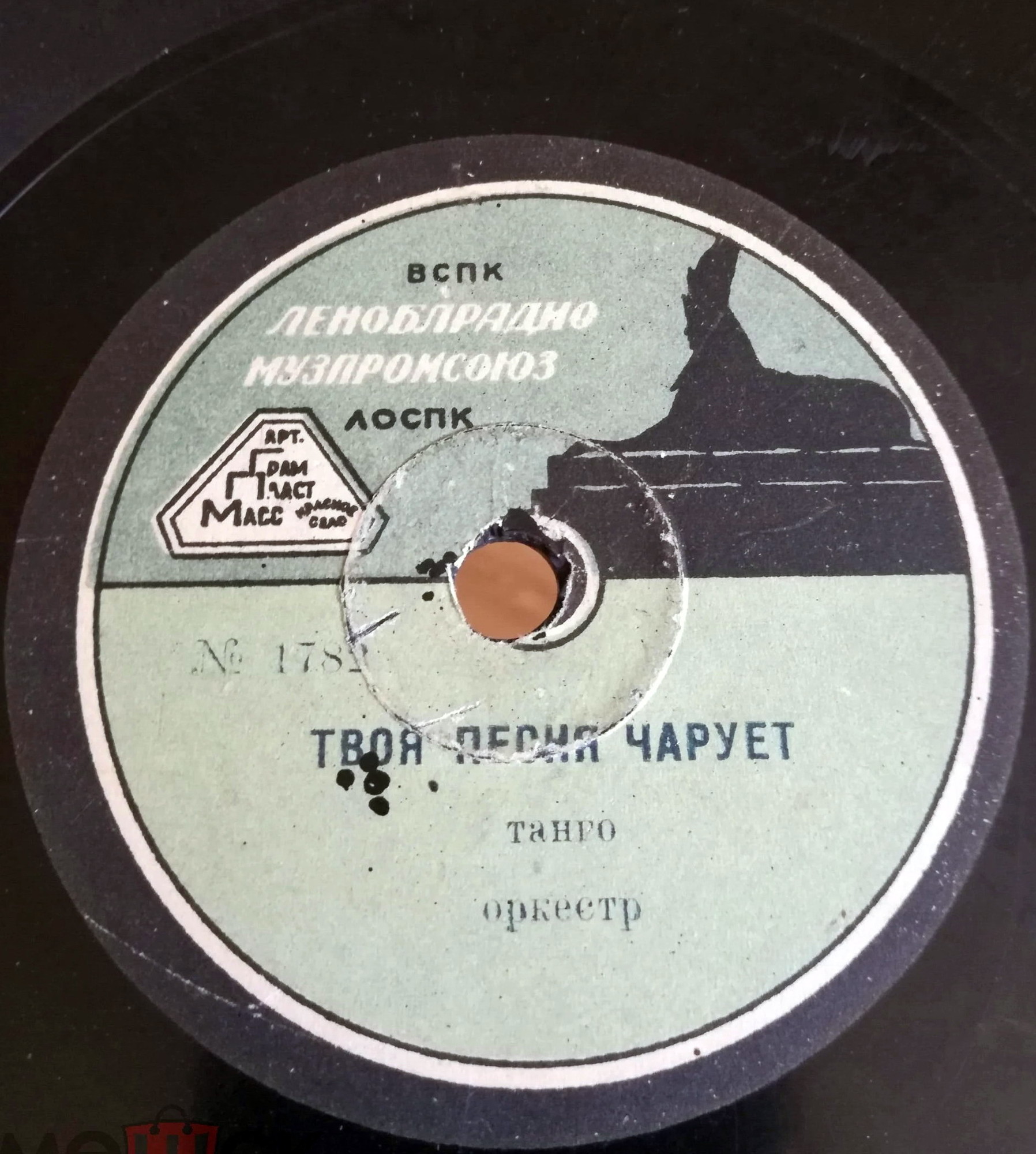 Фиалки // Твоя песня чарует