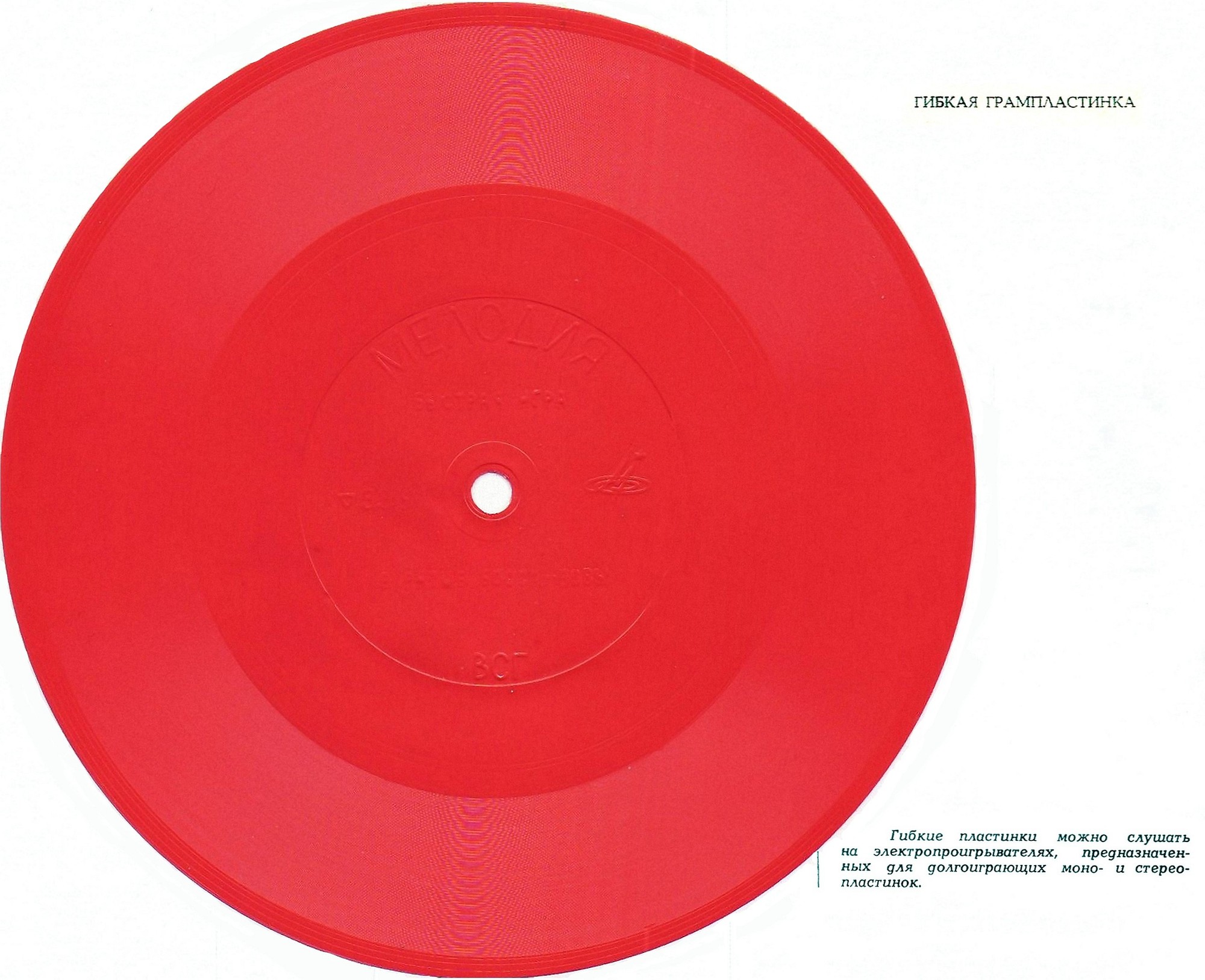 Гарри Хайнц (аккордеон)