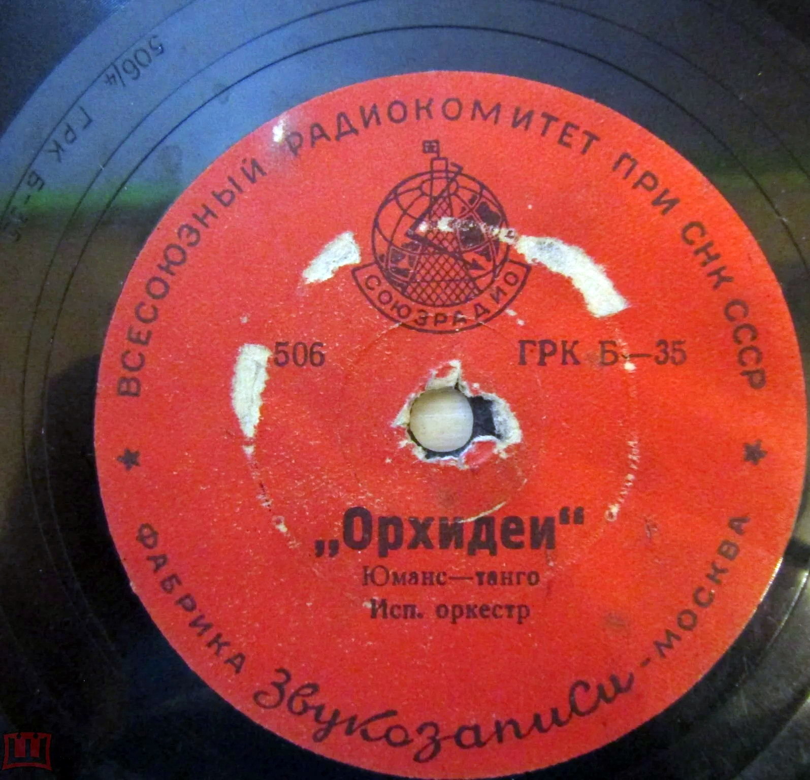 Кариока // Орхидеи