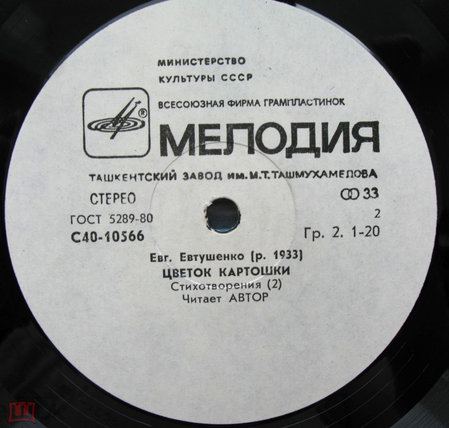 Е. ЕВТУШЕНКО. "Цветок картошки", стихотворения