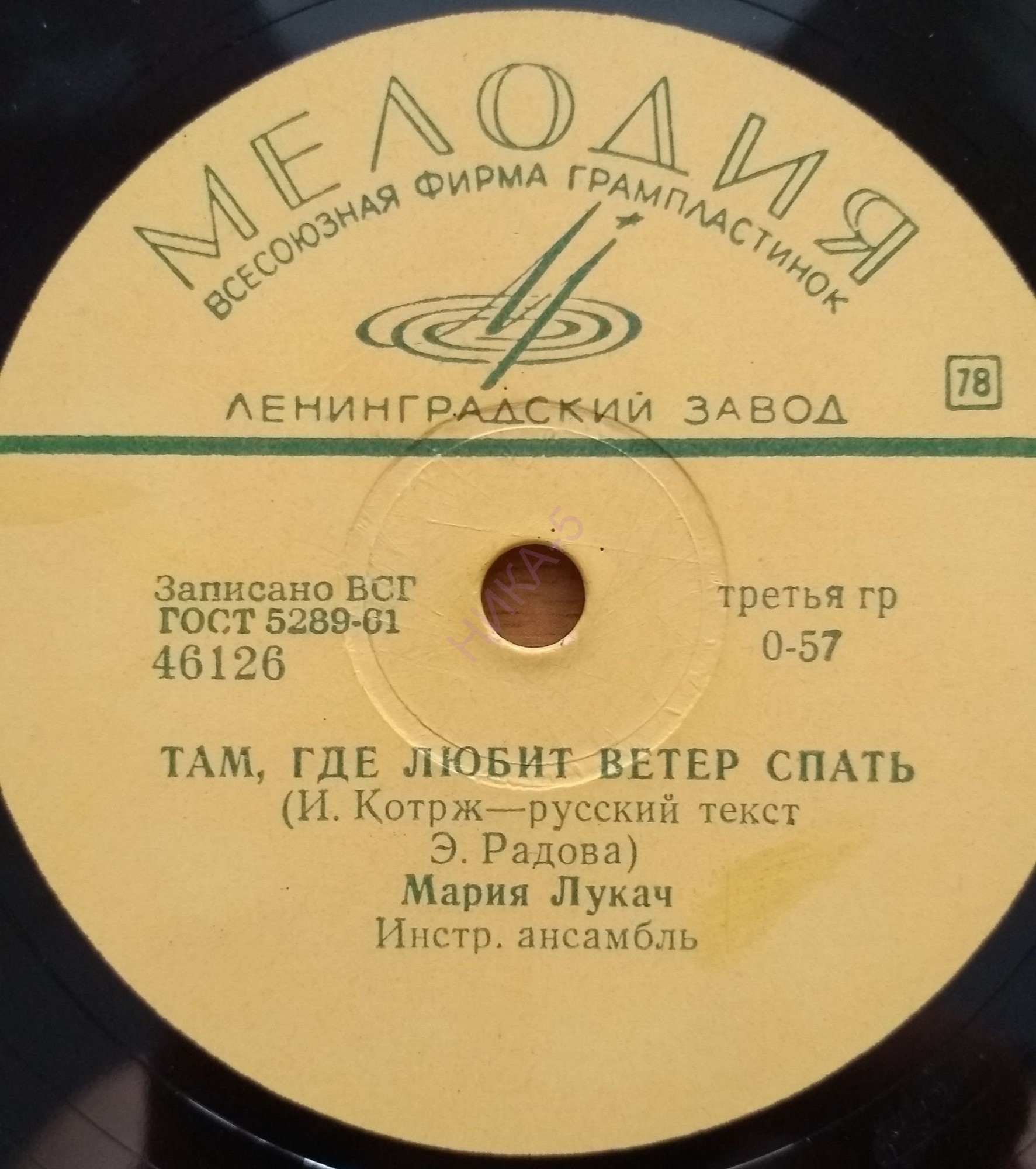 Мария Лукач – Не ищите виноватых / Там, где любит ветер спать