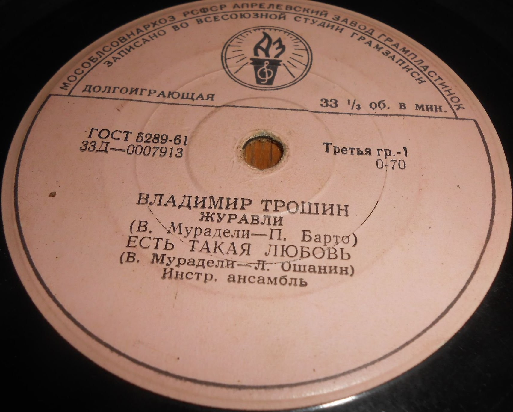 Поет Владимир Трошин