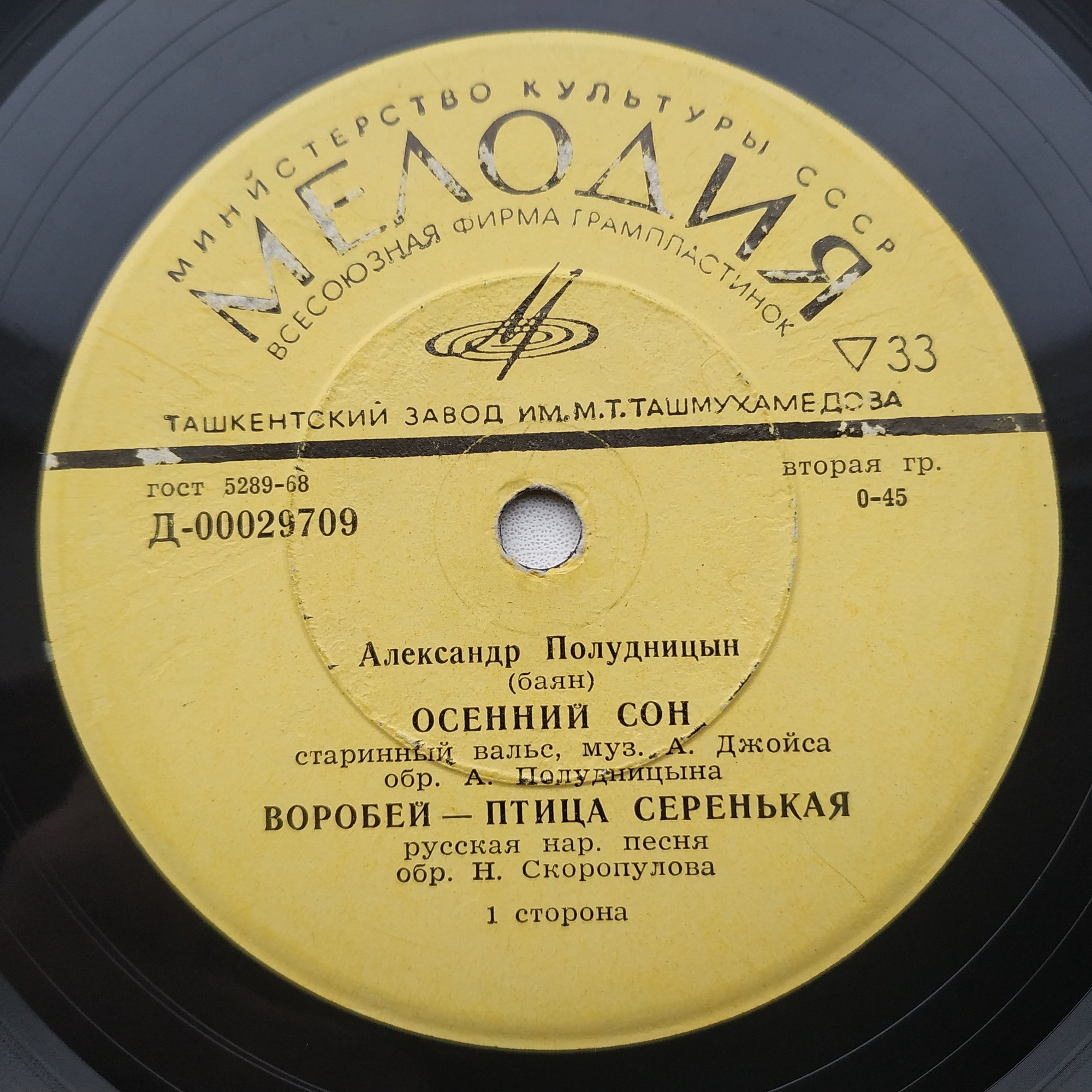 Александр Полудницын (баян)