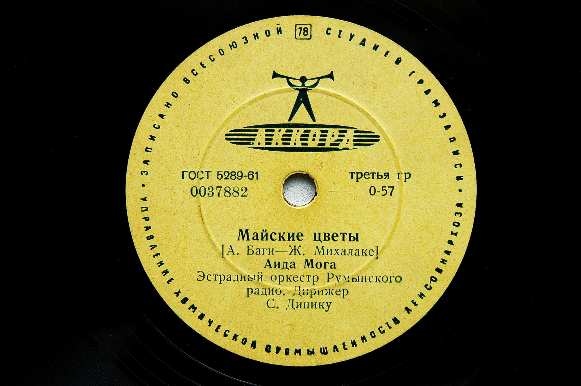 Тюльпаны // Майские цветы