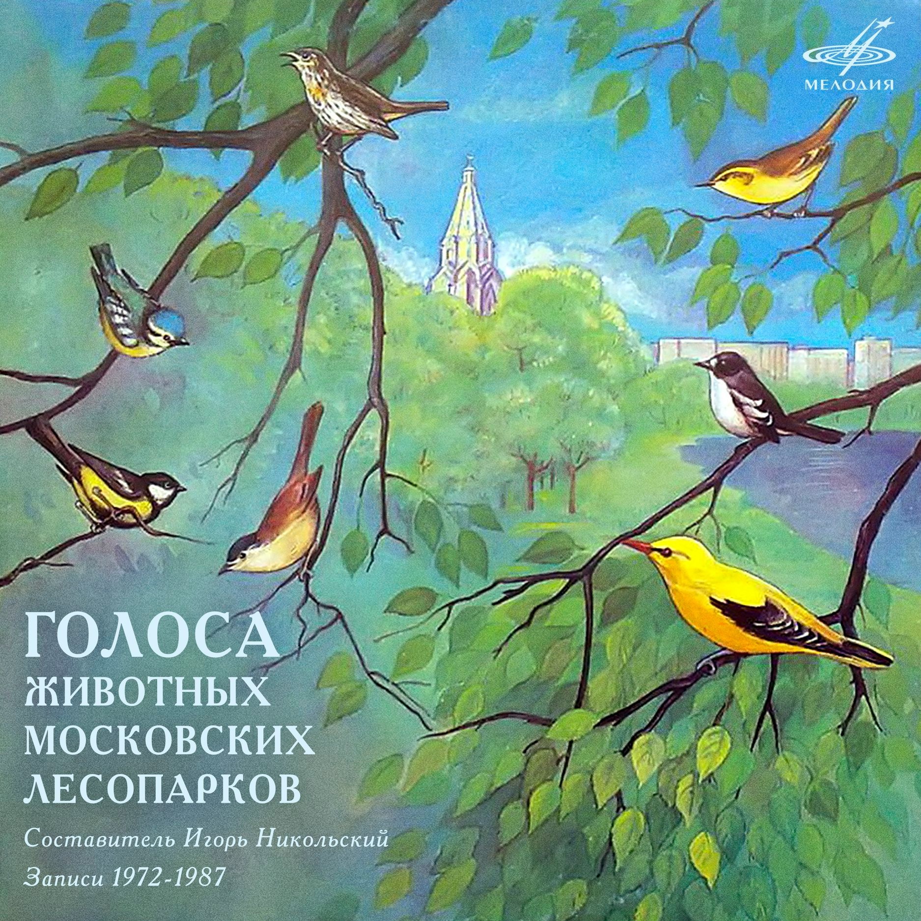 Голоса животных московских лесопарков