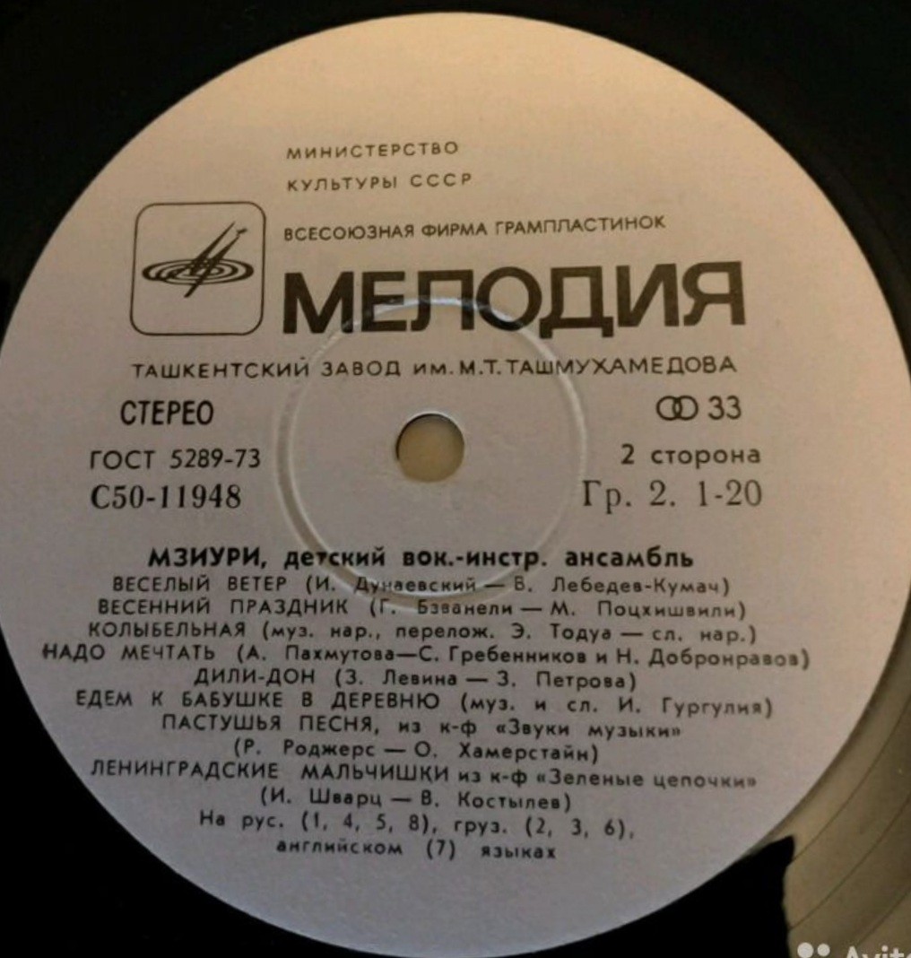 Детский вокально-инстр. ансамбль «Мзиури»