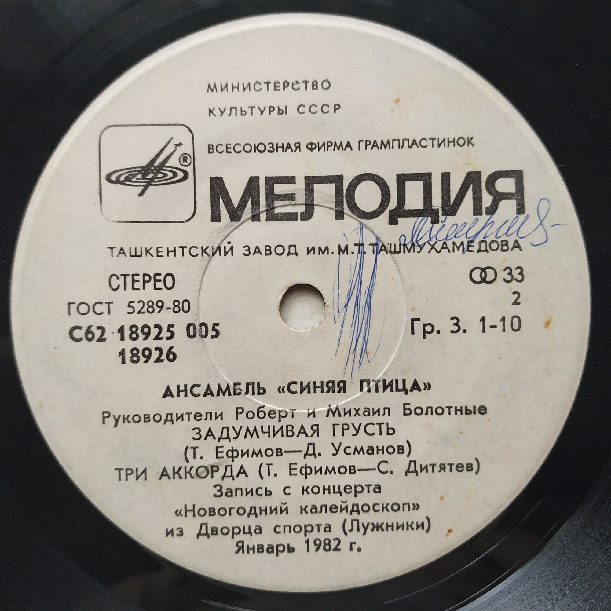 АНСАМБЛЬ «СИНЯЯ ПТИЦА», рук. Роберт и Михаил Болотные.