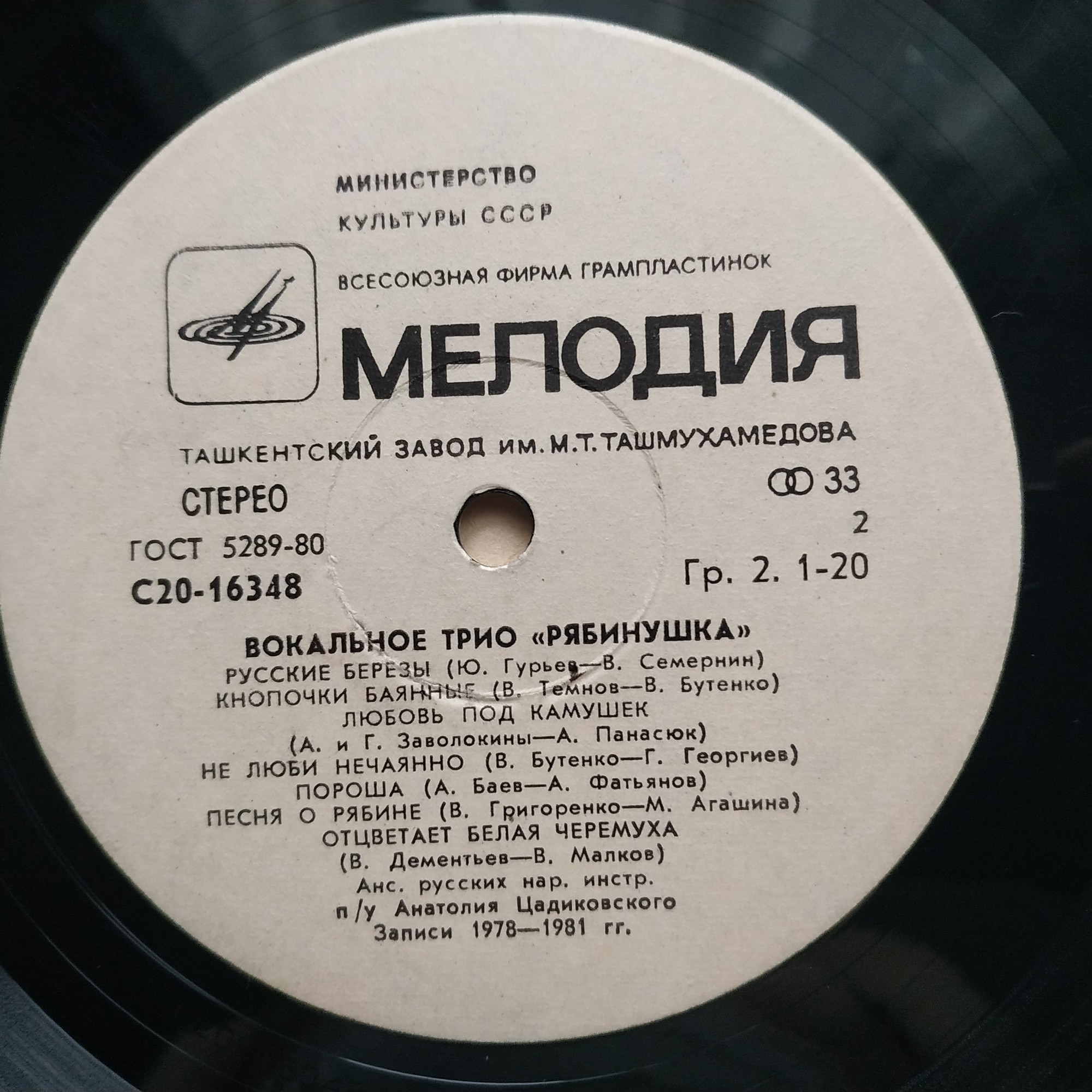 Вокальное трио "Рябинушка"