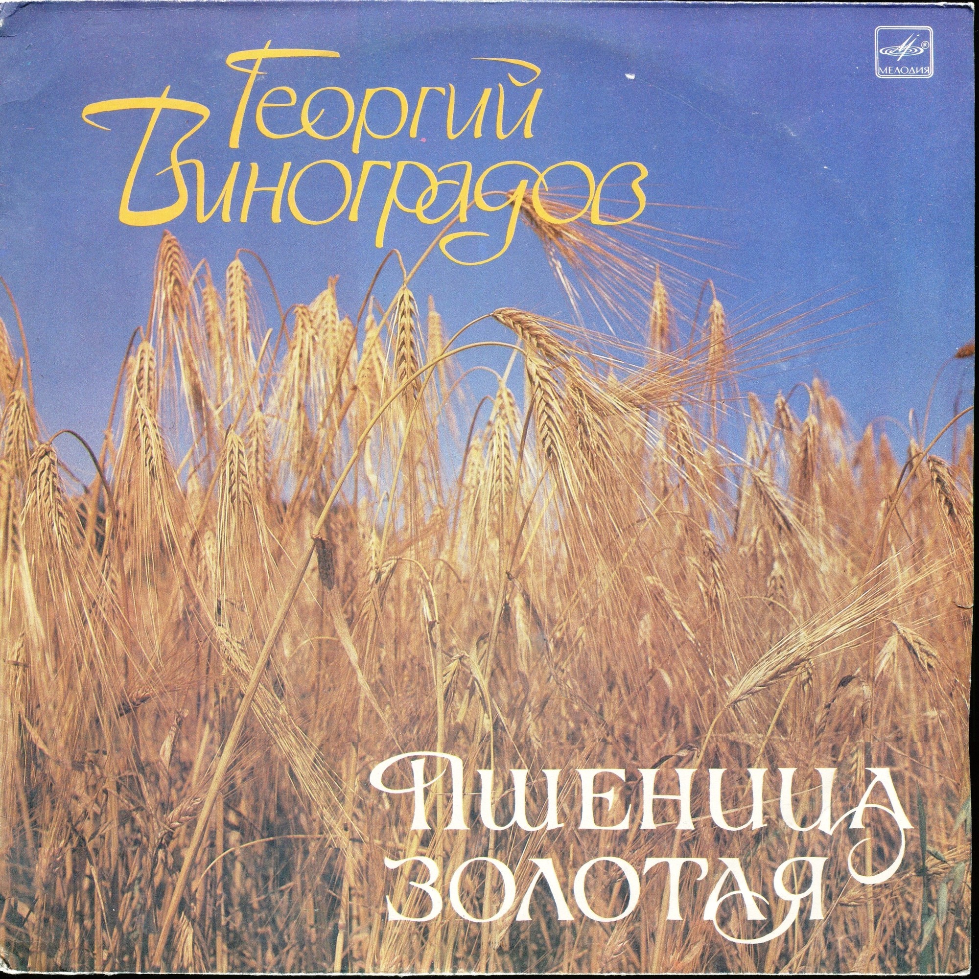 Георгий ВИНОГРАДОВ. «Пшеница золотая»