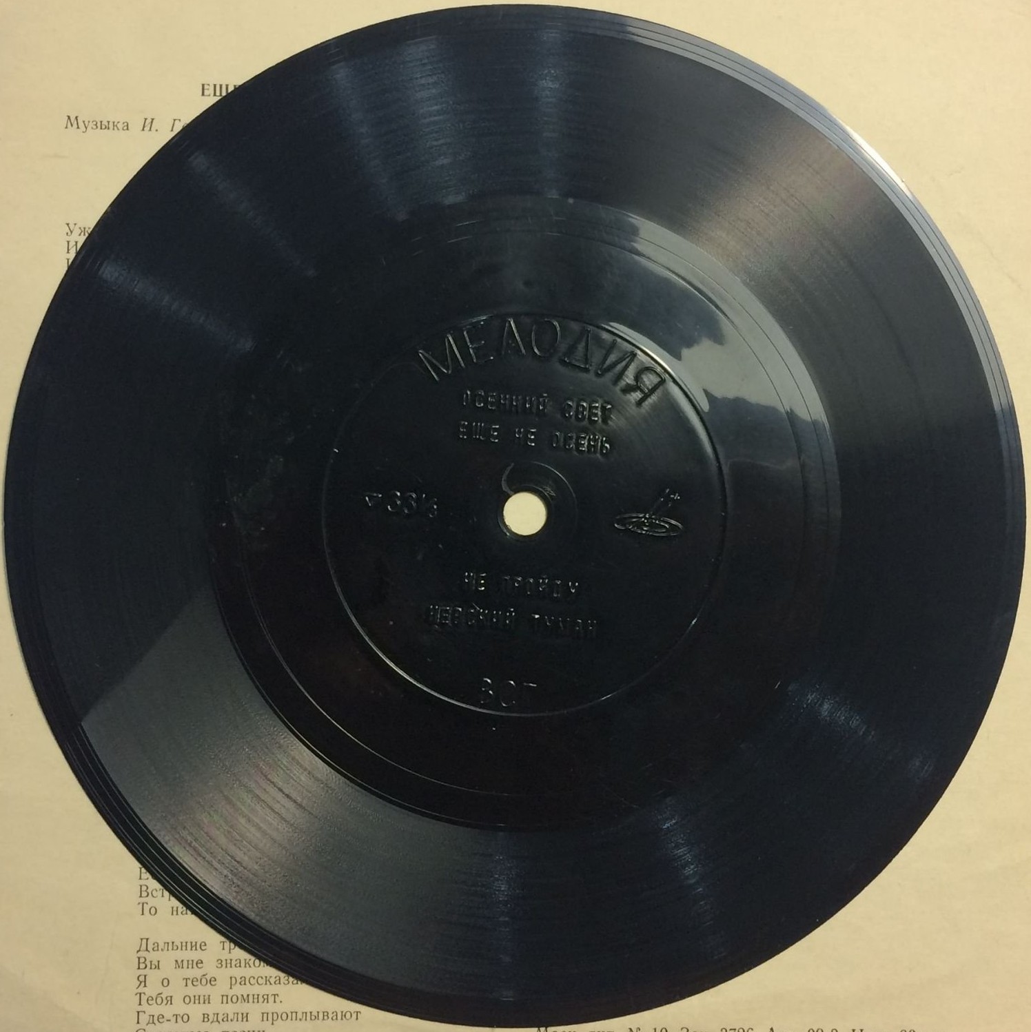 Осенний свет