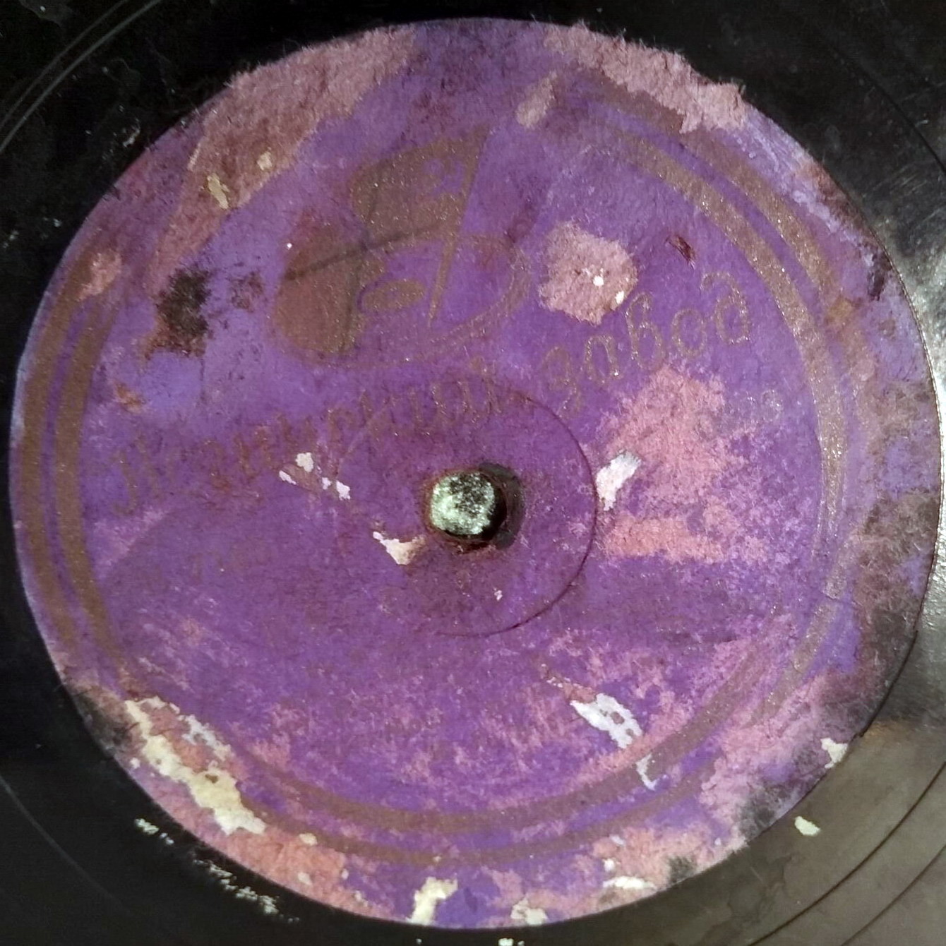 Песенка-джаз / Серенада Лисы