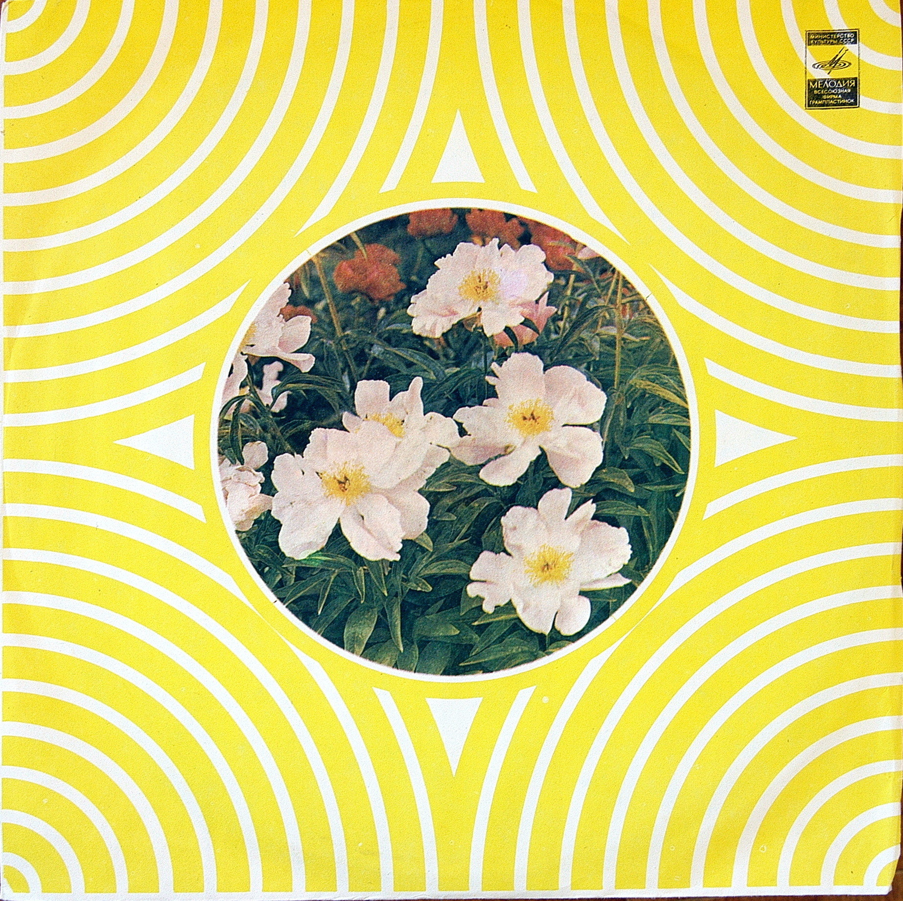 ВИА "Ориони"