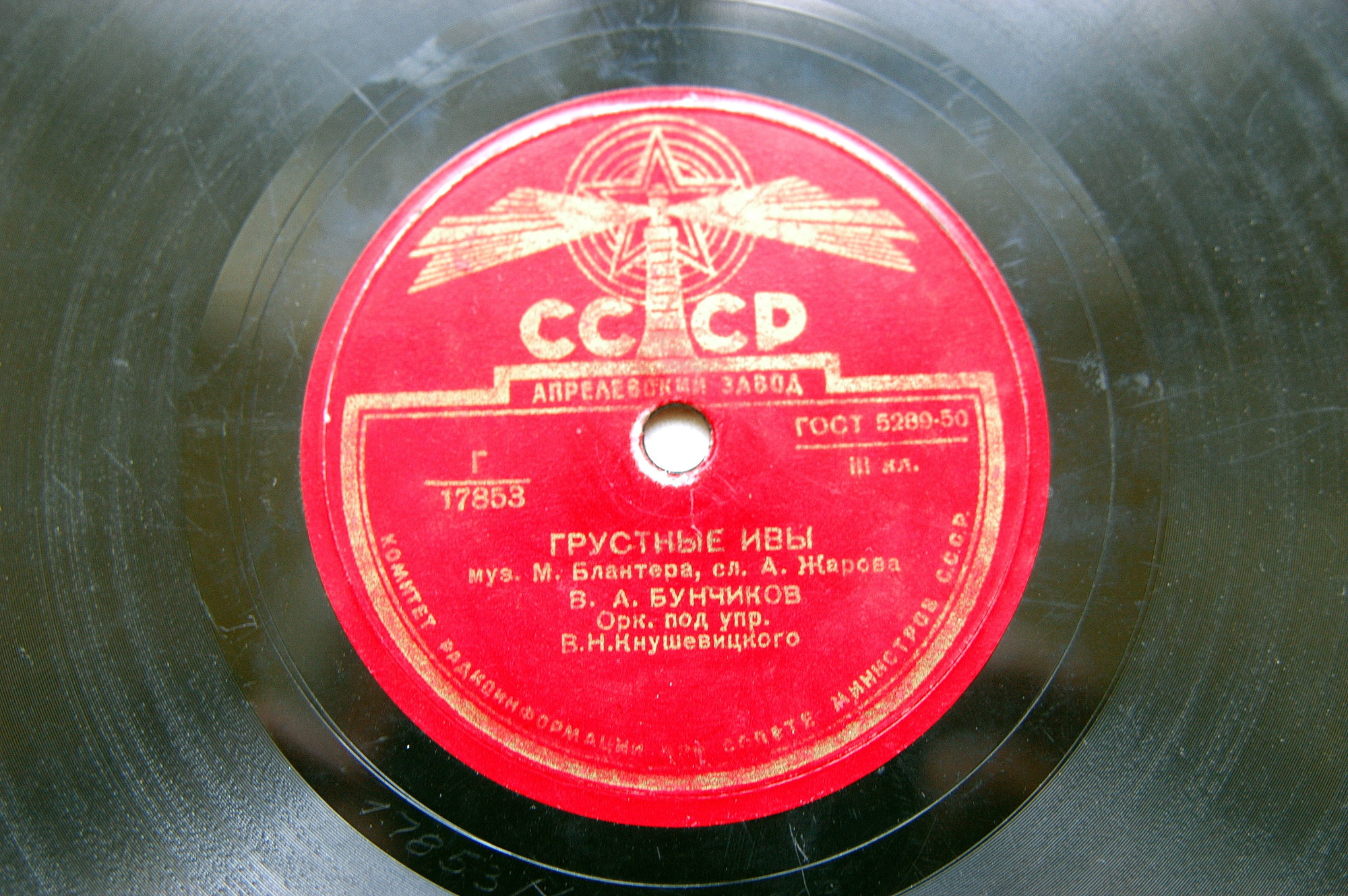 Грустные ивы // На лодке