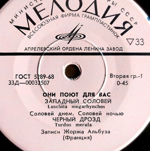 Они поют для вас