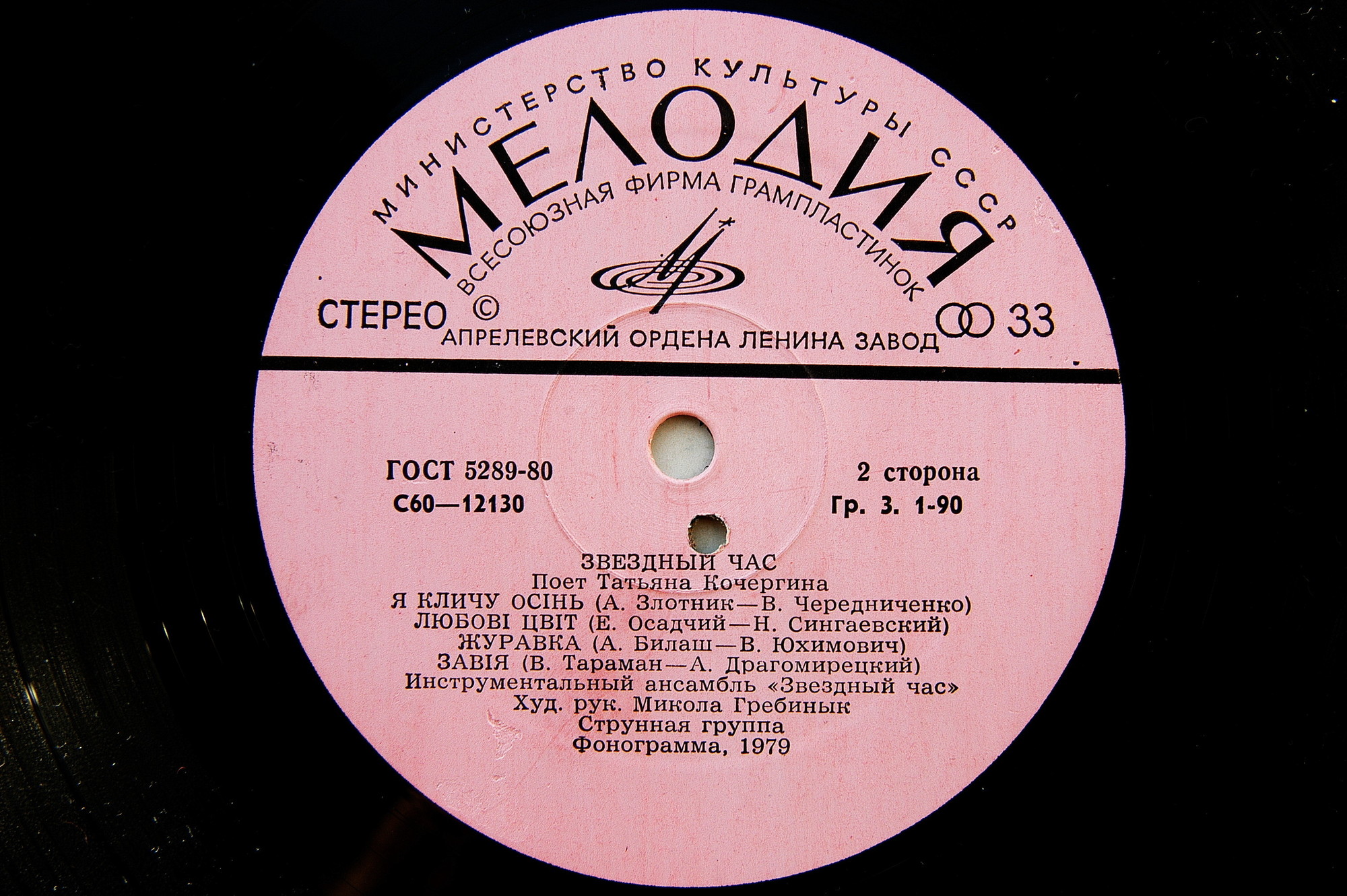 Татьяна КОЧЕРГИНА. «Звездный час»