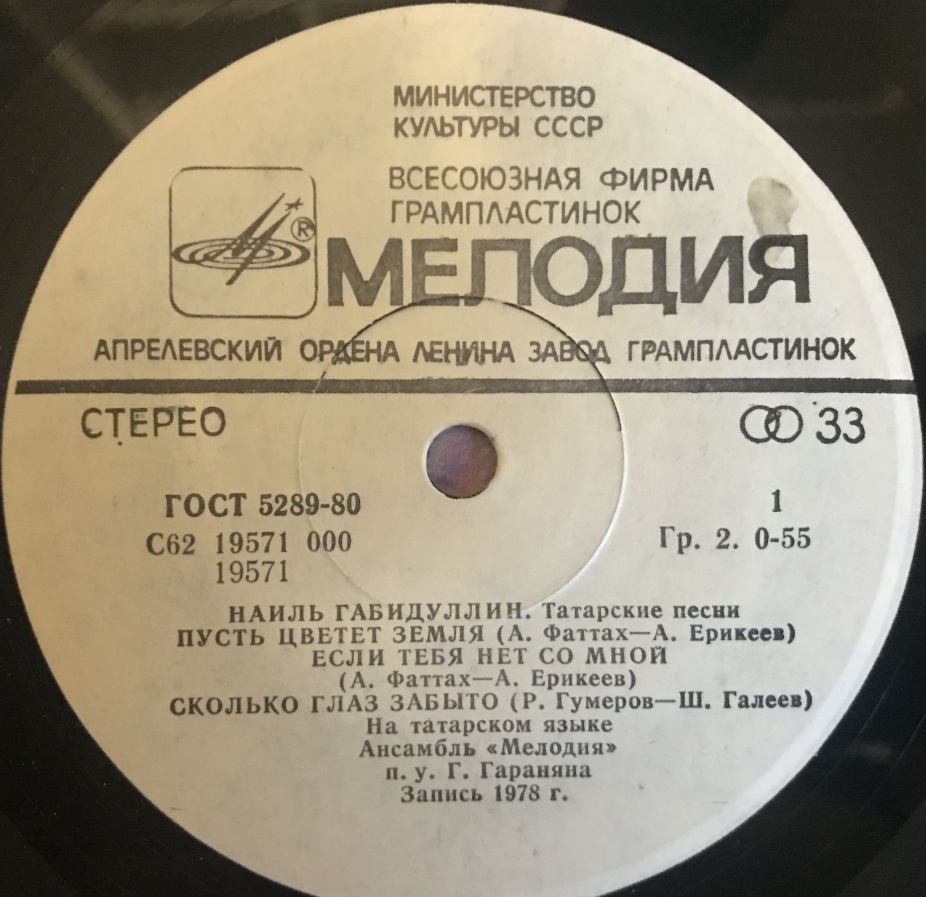 Наиль ГАБИДУЛЛИН: «Чәчәк атсын җиребез / Пусть цветет земля» (на татарском языке)