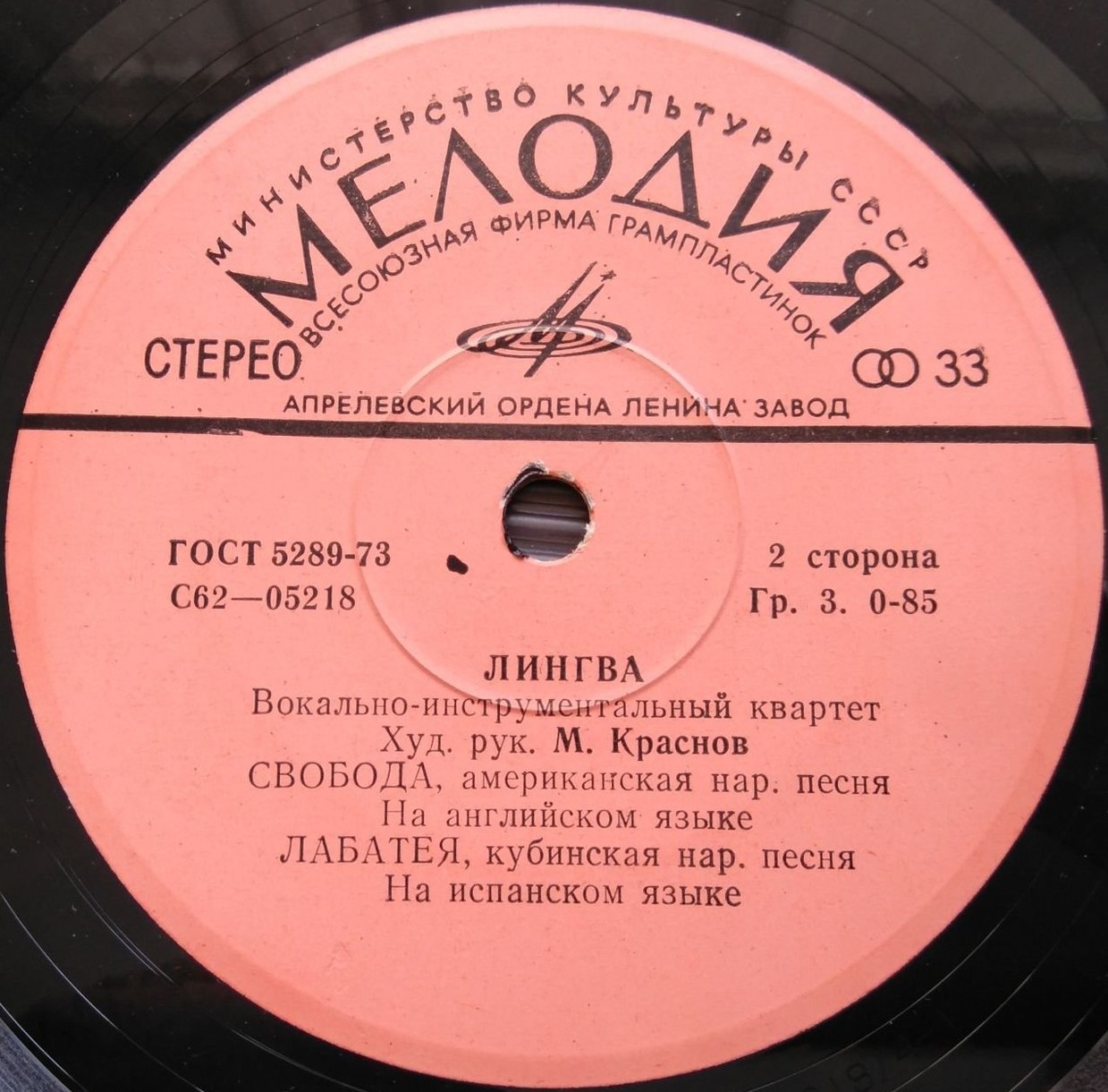 Вокально-инструментальный квартет "Лингва". Художественный руководитель М. Краснов