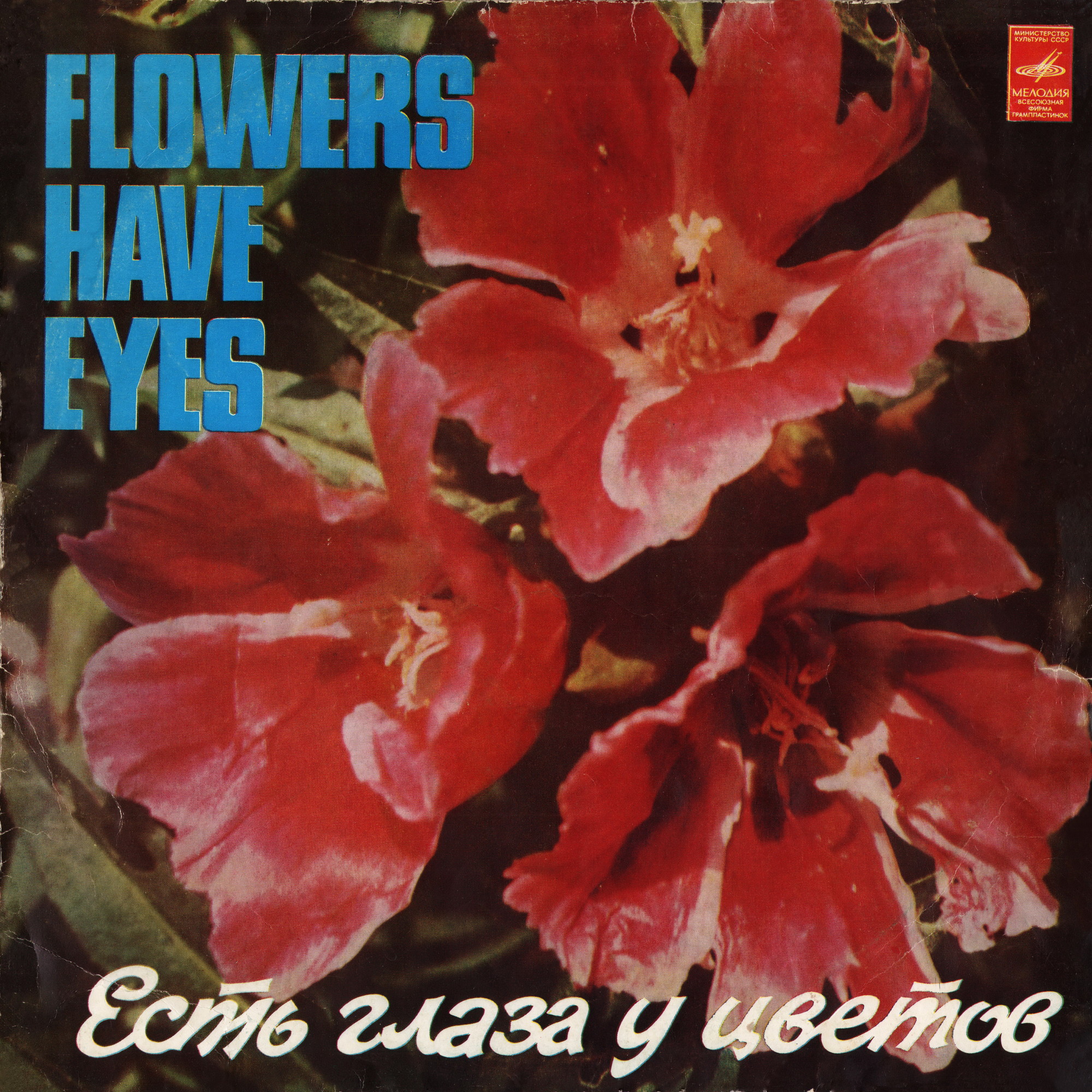 Есть глаза у цветов