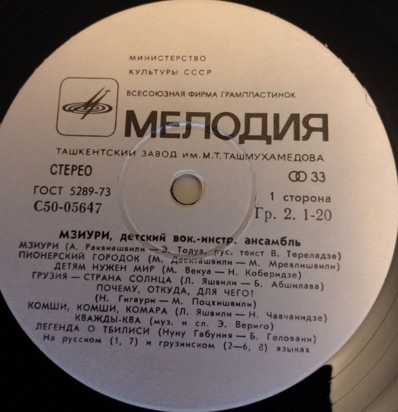 Детский вокально-инстр. ансамбль «Мзиури»