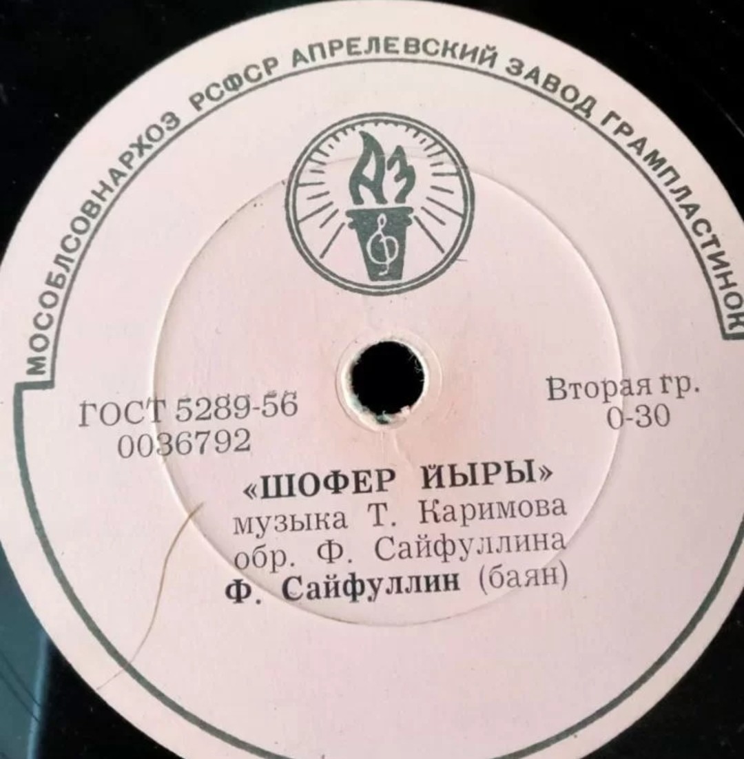 Девушки-проказницы / Шофер йыры
