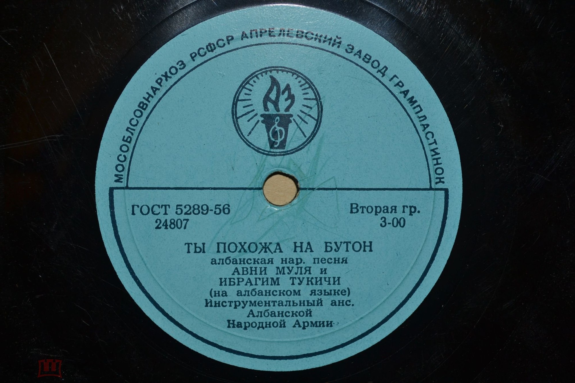 Авни Муля