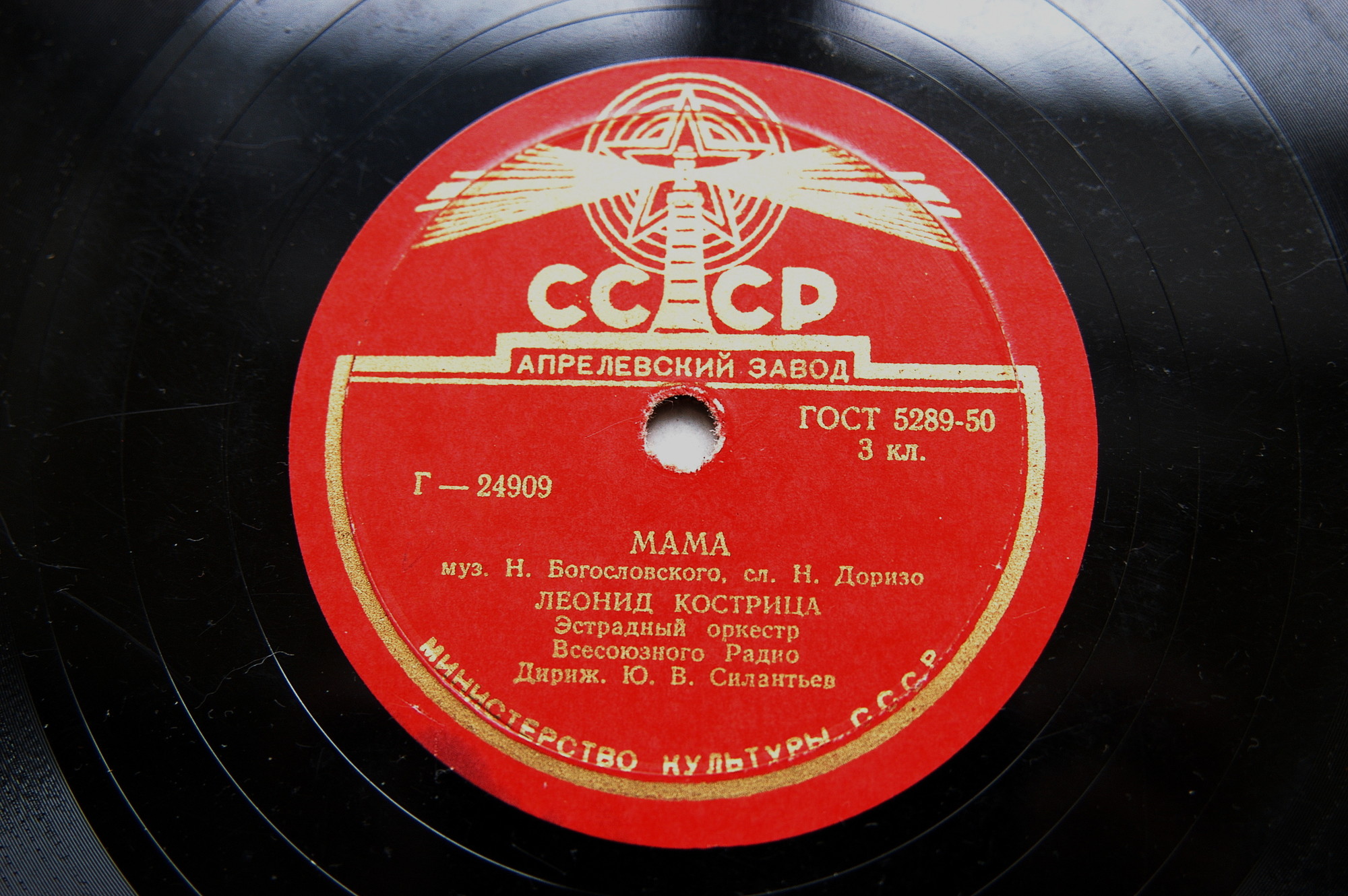 Л. Кострица — Мама / Белокрылые чайки