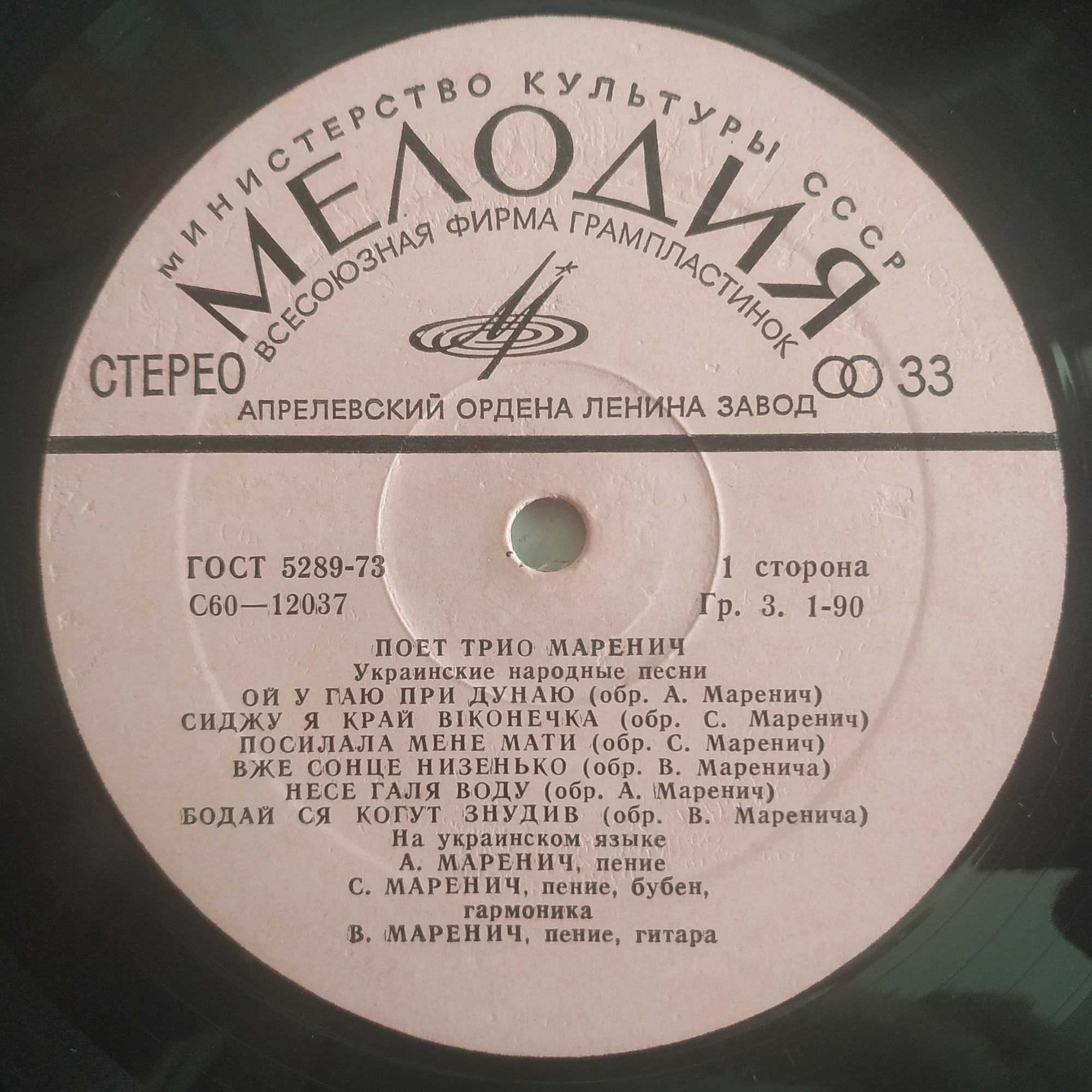 Поет трио Маренич