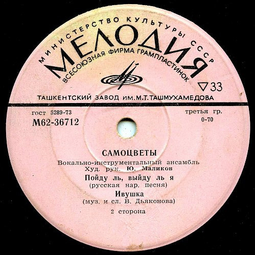 Вокально-инструментальный ансамбль "Самоцветы"