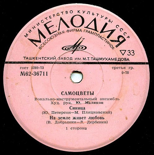 Вокально-инструментальный ансамбль "Самоцветы"