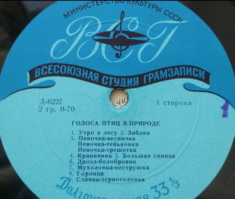 ГОЛОСА ПТИЦ В ПРИРОДЕ (1 серия)