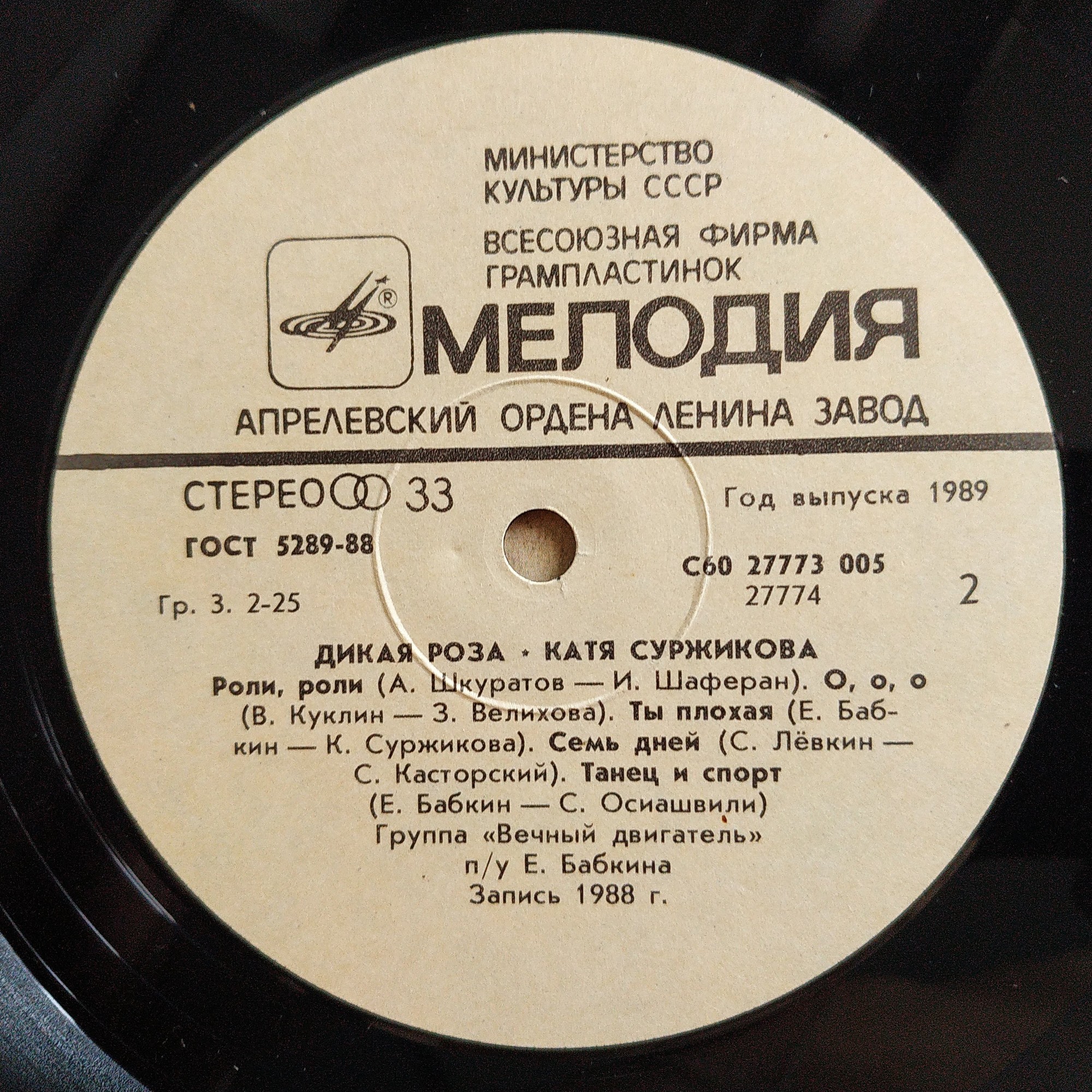 Катя СУРЖИКОВА. «Дикая роза»