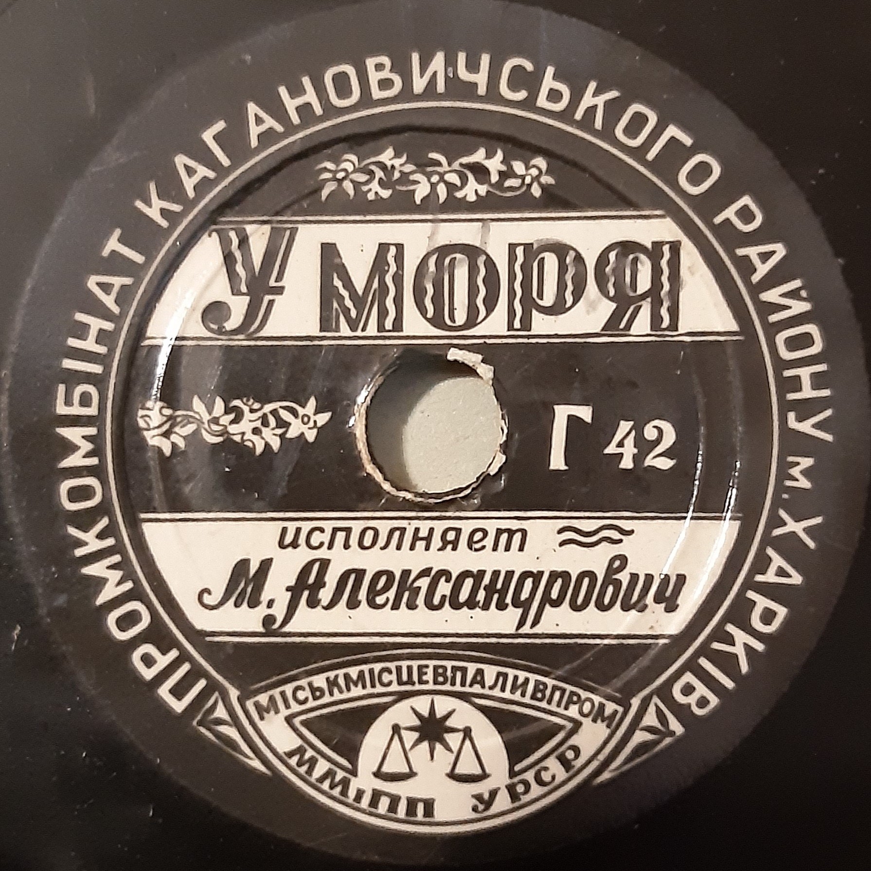 У моря // Фиалка
