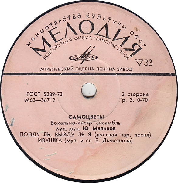 Вокально-инструментальный ансамбль "Самоцветы"