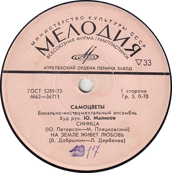 Вокально-инструментальный ансамбль "Самоцветы"