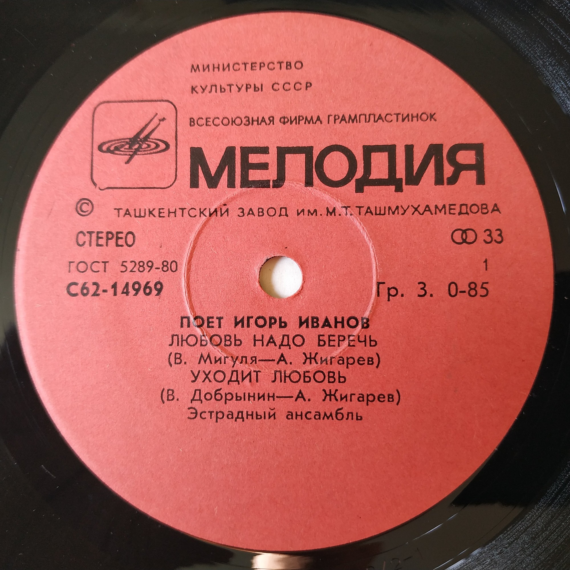Поет Игорь ИВАНОВ
