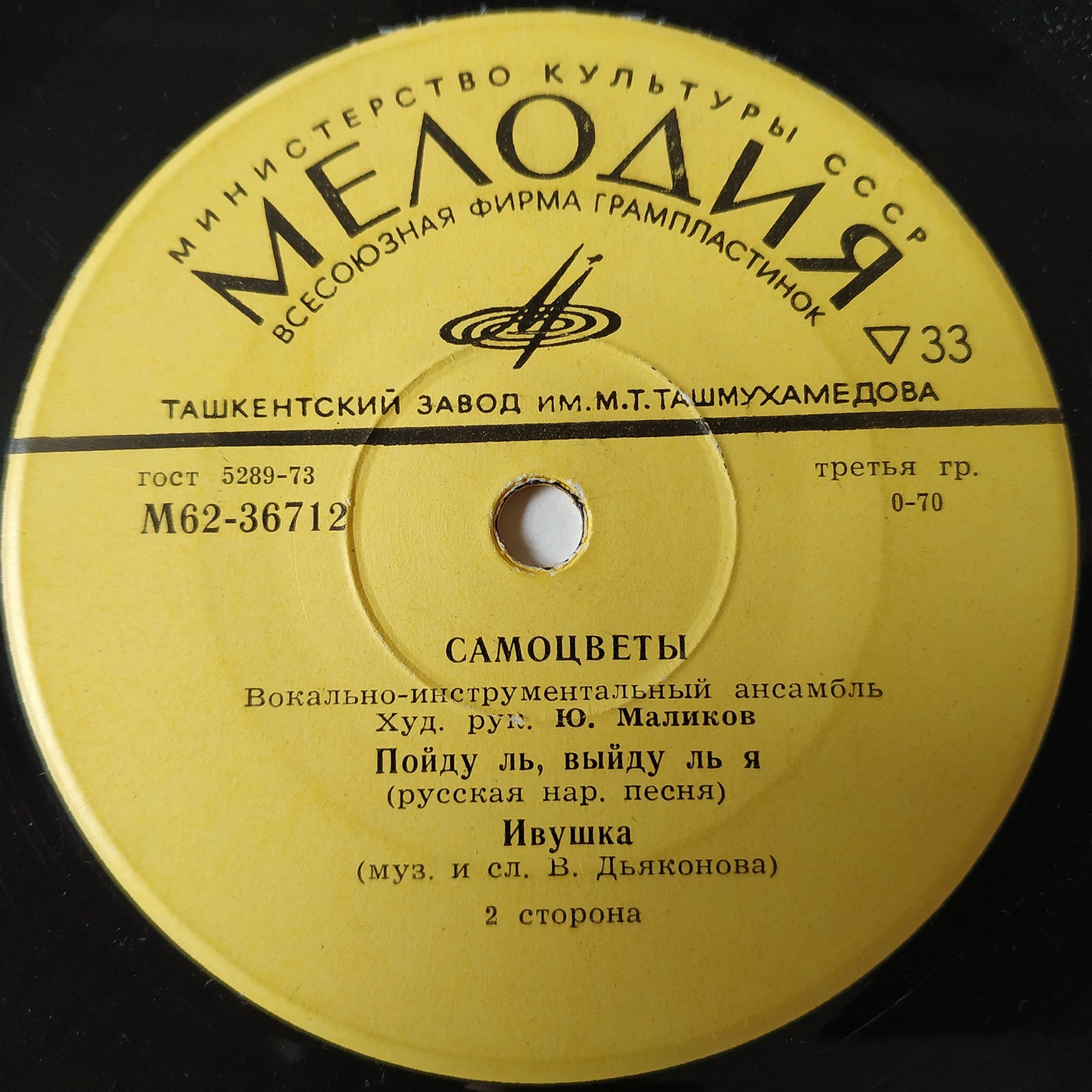 Вокально-инструментальный ансамбль "Самоцветы"