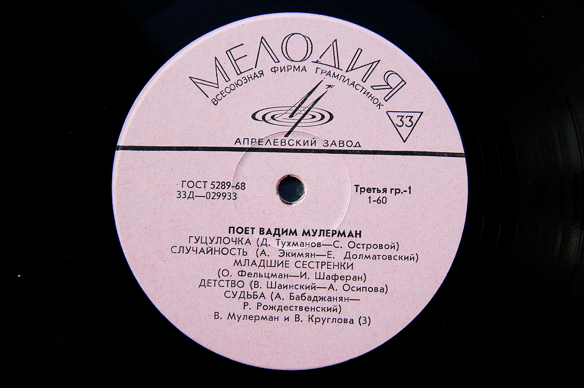 Поёт Вадим Мулерман