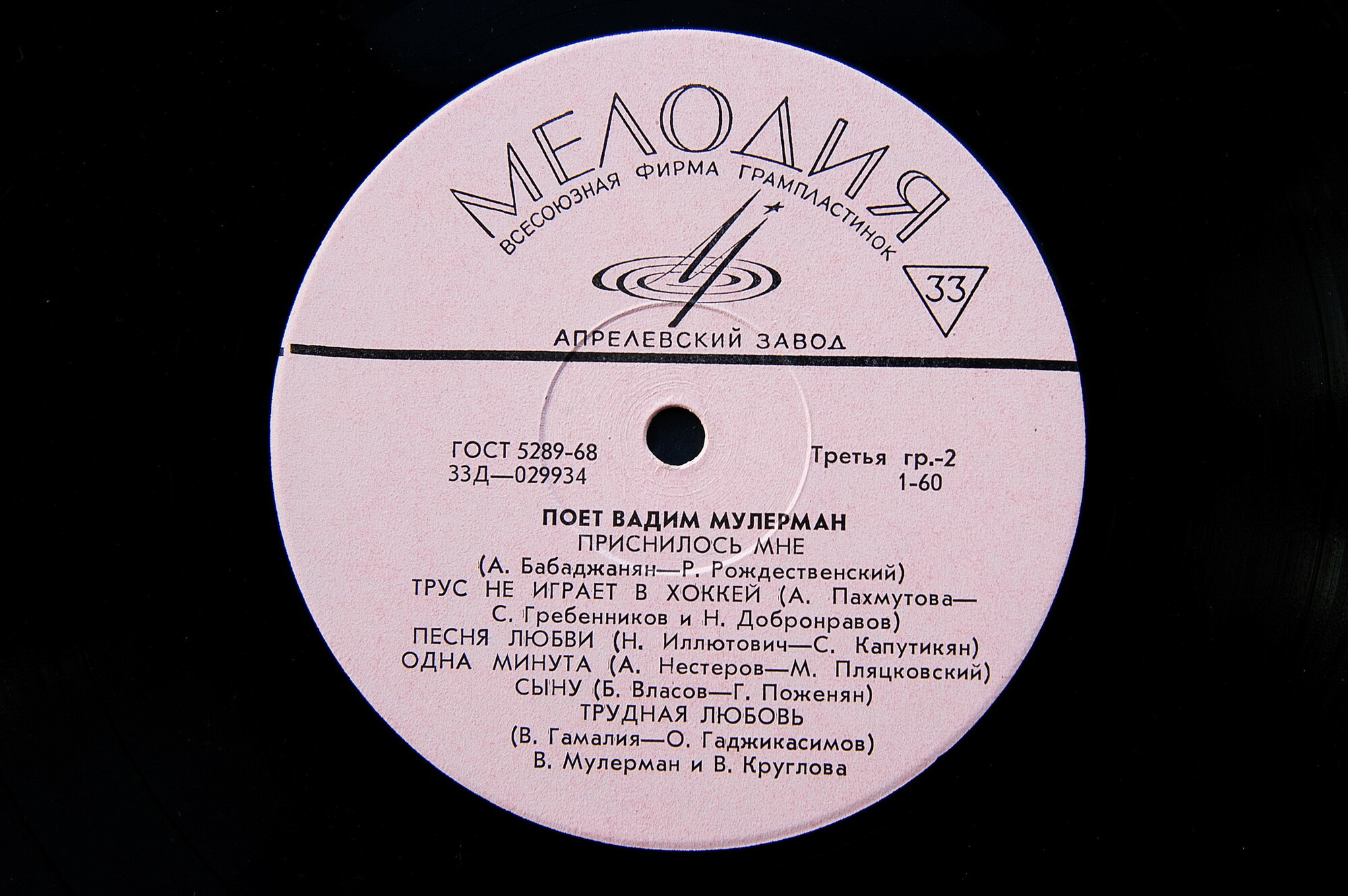 Поёт Вадим Мулерман