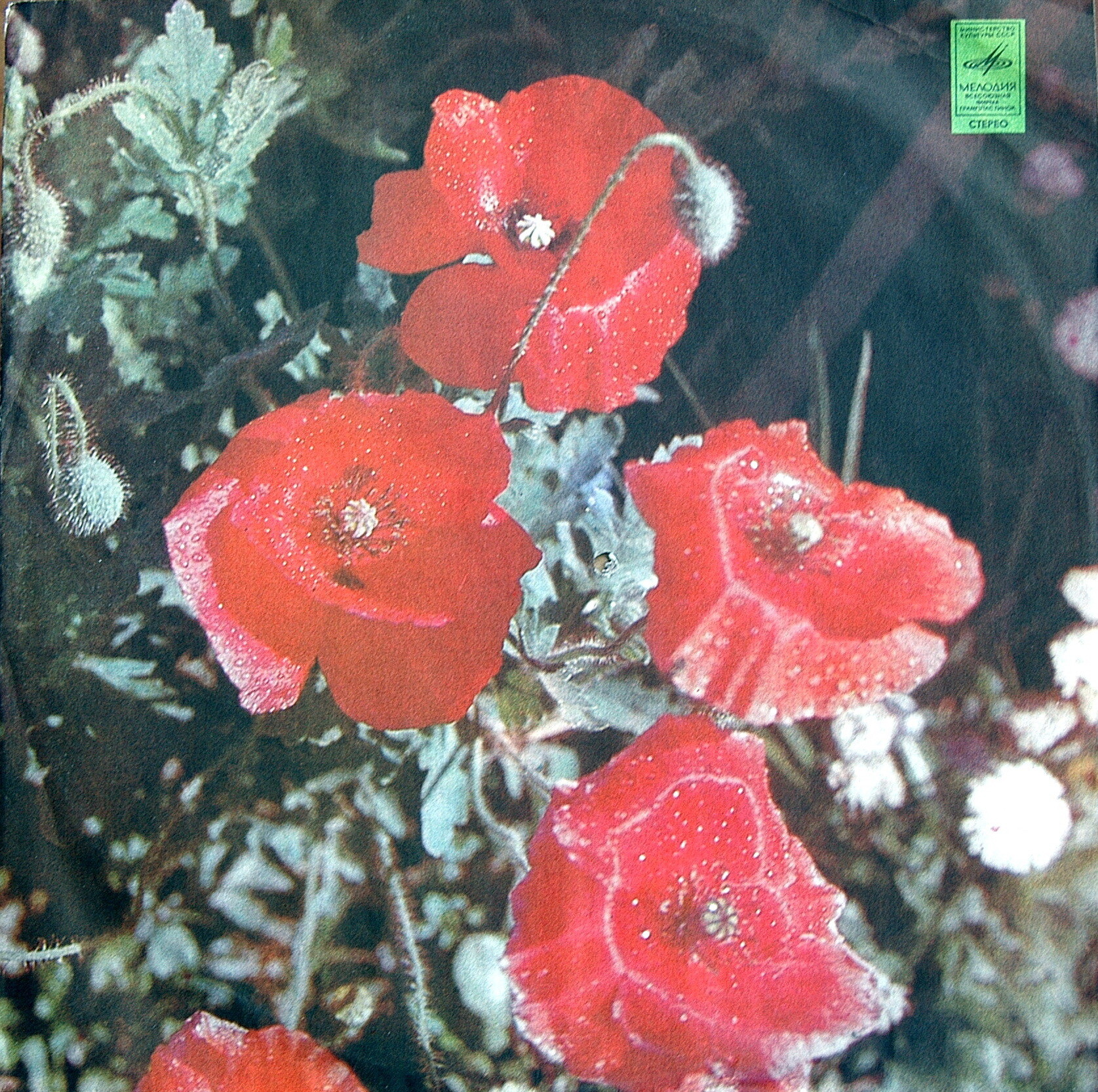 "Раздумье". Песни Павла Аедоницкого