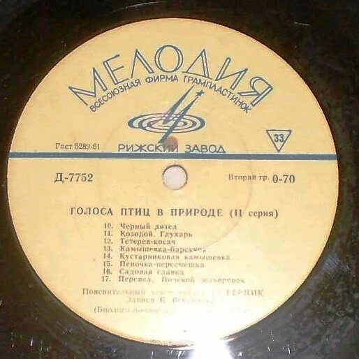 ГОЛОСА ПТИЦ В ПРИРОДЕ (2 серия)