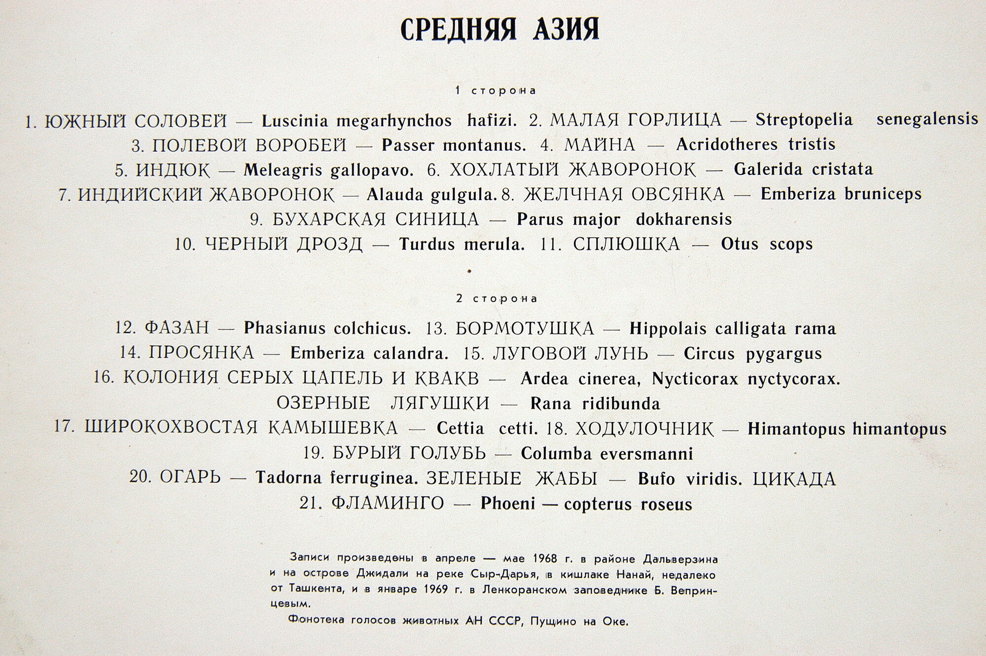 ГОЛОСА ПТИЦ В ПРИРОДЕ. Средняя Азия (6 серия)
