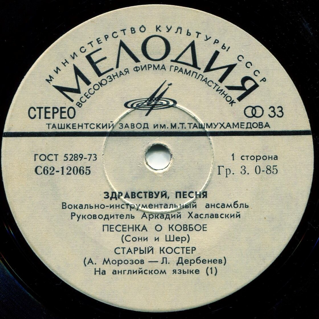 Вокально-инструментальный ансамбль «Здравствуй, песня»