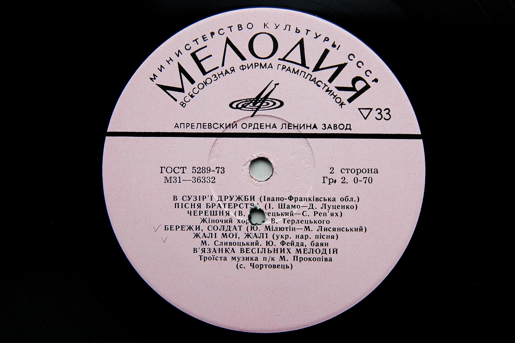 В СУЗIР'Ї ДРУЖБИ   (В созвездии дружбы). Ивано-Франковская область