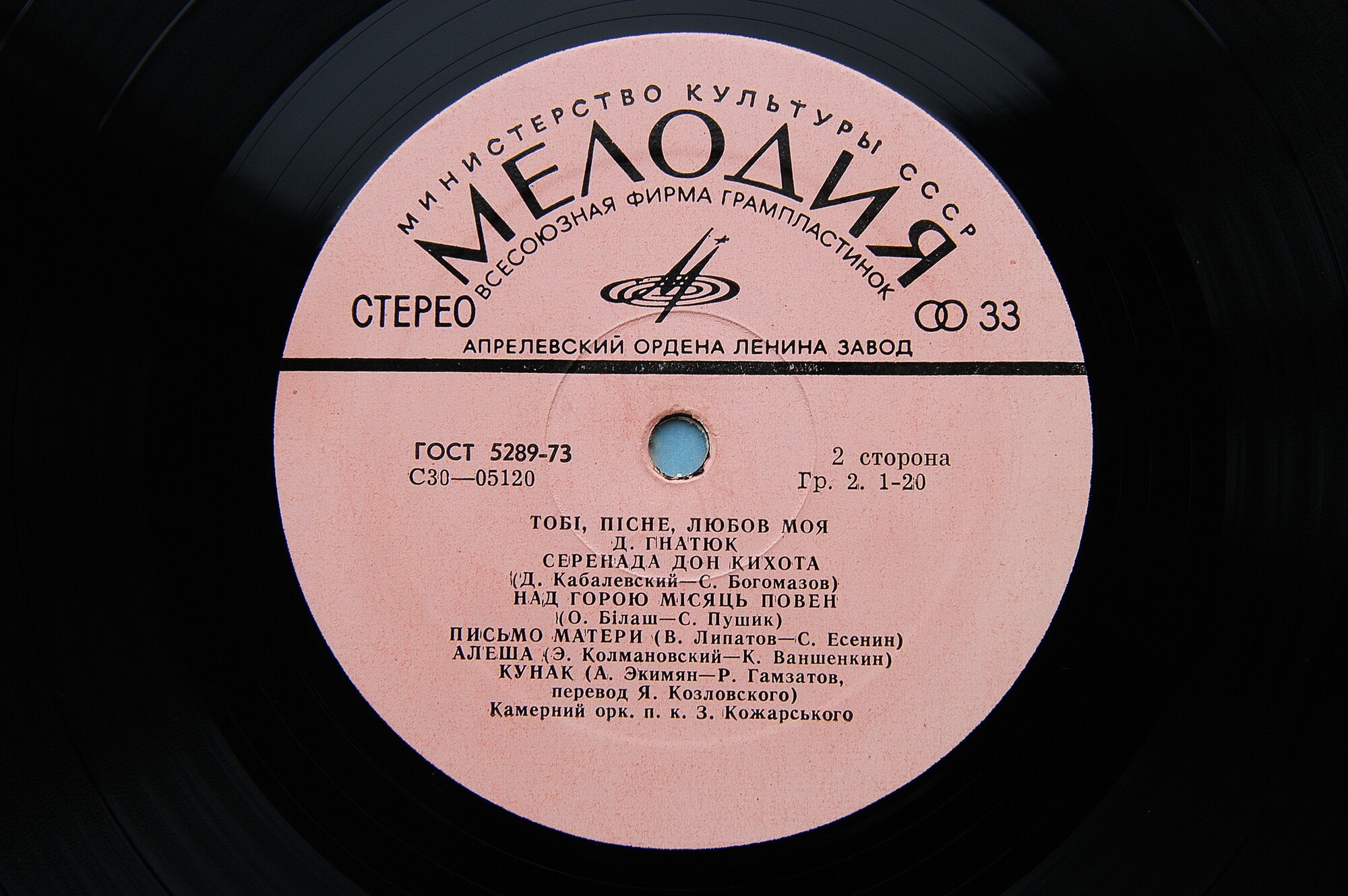 Дмитро Гнатюк. Тобі, пісне, любов моя